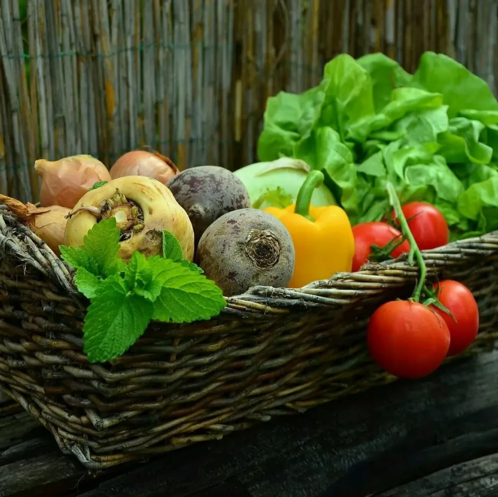 temoignages-hypnose-resultats-bretagne